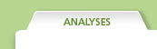 Analyses