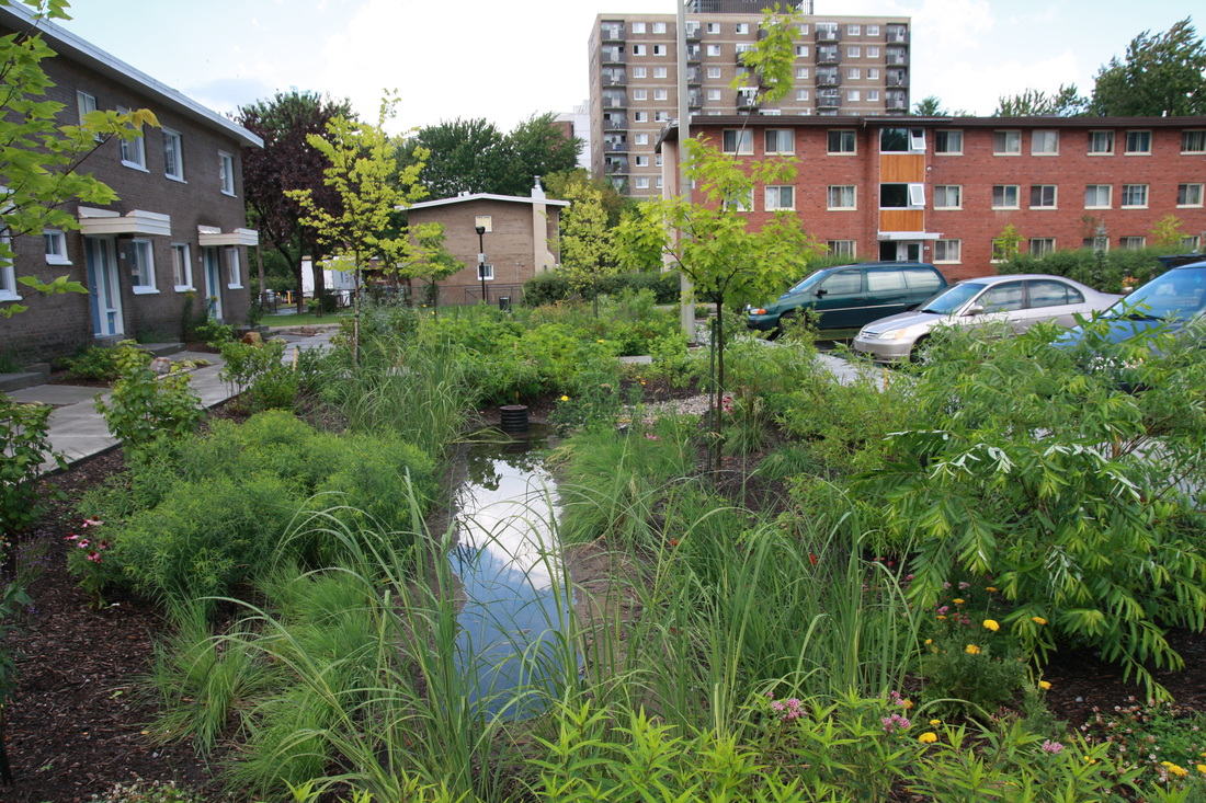 La corporation d'habitations Jeanne Mance, au centre ville de Montréal, possède déjà des bassins de biorétention © Raingarden