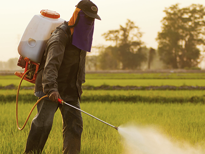 arrosage de pesticides