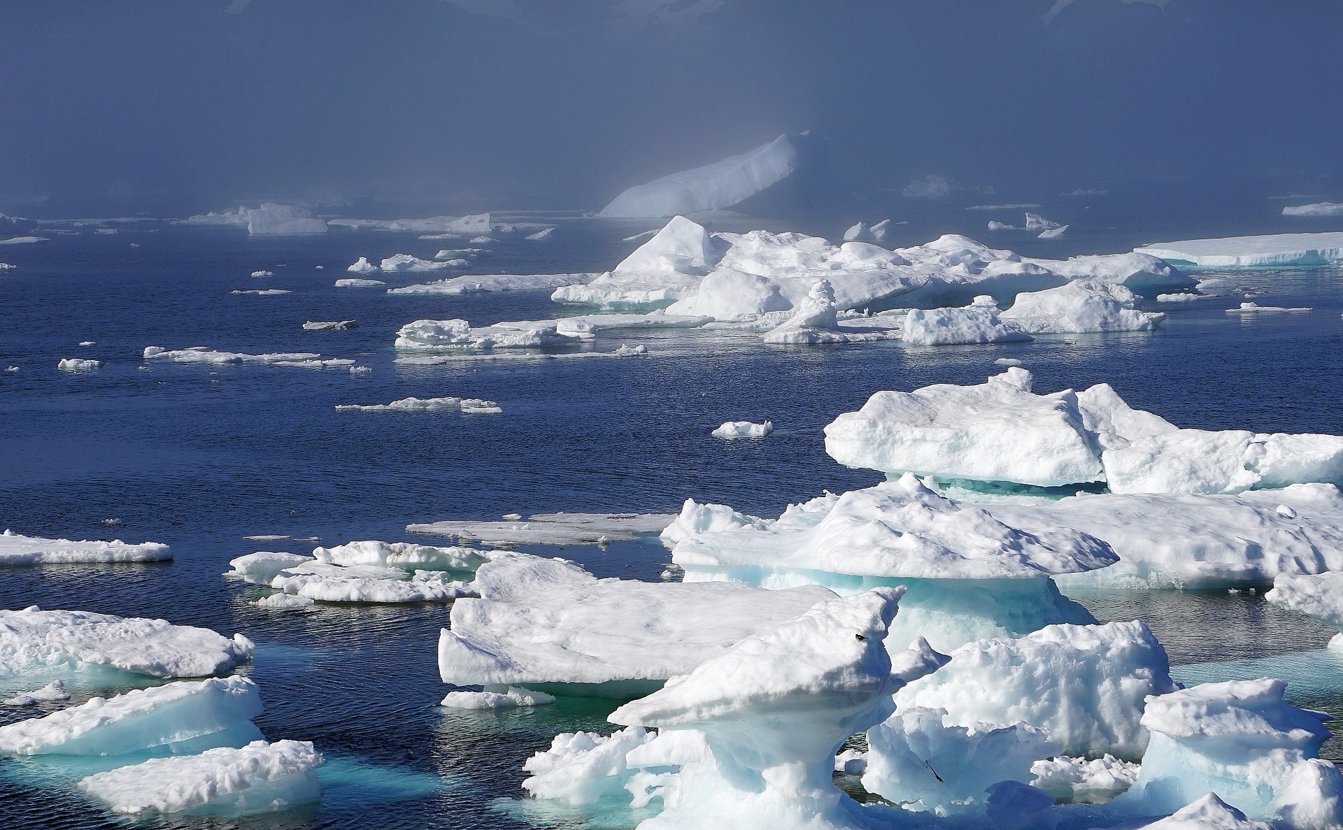 icebergs-932963_1920